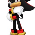 Shadow The Hedgehog