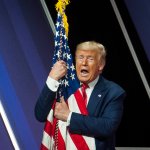 Tangerine Sh!tgibbon