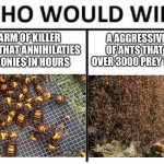 When the two species shall cross path with one another | A SWARM OF KILLER HORNETS THAT ANNIHILATIES BEE COLONIES IN HOURS; A AGGRESSIVE ARMY OF ANTS THAT SHRED OVER 3000 PREY TO PIECES | image tagged in memes,who would win,nature,insects | made w/ Imgflip meme maker