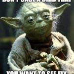 Star Wars Yoda Meme | DON'T CAGE A BIRD THAT; YOU WANT TO SEE FLY. | image tagged in memes,star wars yoda | made w/ Imgflip meme maker