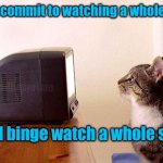 Ridiculous | I won't commit to watching a whole movie; deadboxprime; But I'll binge watch a whole series | image tagged in cat watching tv | made w/ Imgflip meme maker