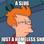 Futurama Fry | A SLUG; IS JUST A HOMELESS SNAIL | image tagged in memes,futurama fry | made w/ Imgflip meme maker