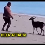 Oh, Deer! | Poor Guy! He did nothing to deserve it; DEER ATTACK! Sometimes,
Life is a Beach! | image tagged in gifs,deer,oh no,beat down,female,imgflip humor | made w/ Imgflip video-to-gif maker