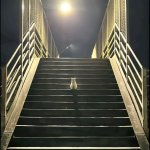 Fear
