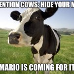 Warning: Store 4 Coming Soon | ATTENTION COWS: HIDE YOUR MILK; MARIO IS COMING FOR IT | image tagged in cow | made w/ Imgflip meme maker