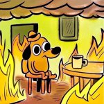 This Is Fine