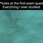 My Brain:"Adios!" | Me: *looks at the first exam question*
Everything I ever studied: | image tagged in gifs,memes,funny,question,exam | made w/ Imgflip video-to-gif maker
