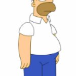 skin homer