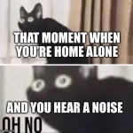 Oh no not good | THAT MOMENT WHEN YOU’RE HOME ALONE; AND YOU HEAR A NOISE | image tagged in oh no cat | made w/ Imgflip meme maker