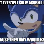 Kids, Don't - Sonic X | KIDS DONT EVER TELL SALLY ACORN I LOVED HER; BECAUSE THEN AMY WOULD KNOW | image tagged in kids don't - sonic x | made w/ Imgflip meme maker