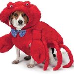 Caption CrabDog