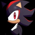 Shadow The Hedgehog Stare