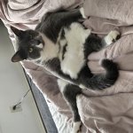 Luna Silly Pose