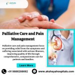 Palliative Care and Pain Management