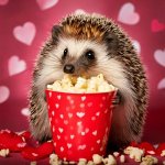 Hedgehog love