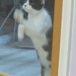 Claw back | CLAW BACK HAPPENS | image tagged in claw back | made w/ Imgflip meme maker