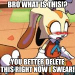 Cream the rabbit gasp | BRO WHAT IS THIS!? YOU BETTER DELETE THIS RIGHT NOW I SWEAR! | image tagged in cream the rabbit gasp | made w/ Imgflip meme maker