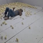 Come to Daddy! | Chick Magnet? | image tagged in gifs,chicks,chick appeal,what do we want,animals,what gives people feelings of power | made w/ Imgflip video-to-gif maker