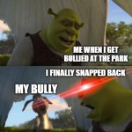 no more bullying | ME WHEN I GET BULLIED AT THE PARK; I FINALLY SNAPPED BACK; MY BULLY | image tagged in shrek for five minutes | made w/ Imgflip meme maker