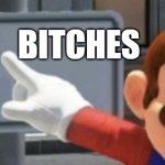 meme | BITCHES | image tagged in mario no sign | made w/ Imgflip meme maker