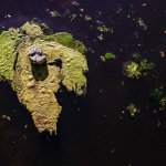 Ashley Creek - Lower Standards?