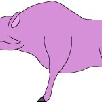 Female Entelodon (Paleoverse + EOIverse)