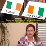 Those flags should not be confused. Not because they're similar you know. | Ireland; Ivory Coast; Irish person | image tagged in memes,they're the same picture,ireland,ivory coast | made w/ Imgflip meme maker