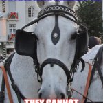 Calvinist are Like a Horse wit Blinders on | CALVINIST ARE LIKE A HORSE WITH BLINDERS ON. THEY CANNOT SEE THE WHOLE PICTURE | image tagged in horse blinders | made w/ Imgflip meme maker