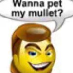 Wanna pet my mullet meme