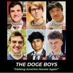 The Doge Boys