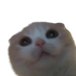 Grrr