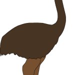 Female Dinornis (Paleoverse + EOIverse)