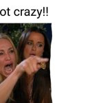 Woman Yelling At Cat | I'm not crazy!! | image tagged in memes,woman yelling at cat | made w/ Imgflip meme maker