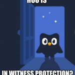 Theory One | HOO IS; IN WITNESS PROTECTION? | image tagged in duolingo bird,memes,witness protection,deep state,gotta go fast,remember me | made w/ Imgflip meme maker