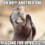 animal praying | OH NO!!! ANOTHER ONE; BEGGING FOR UPVOTES!!!! | image tagged in animal praying | made w/ Imgflip meme maker