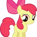 Apple bloom