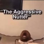 the aggressive nutter