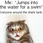 wait… it’5 not the pool? | Me: “Jumps into the water for a swim”; Everyone around the shark tank: | image tagged in horrified cat | made w/ Imgflip meme maker