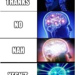 Expanding Brain | NO THANKS; NO; NAH; YESN'T | image tagged in memes,expanding brain | made w/ Imgflip meme maker