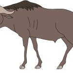 Female Rusingoryx (Paleoverse + EOIverse)