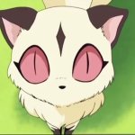 Kirara stare meme