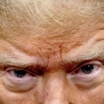 Trump Pariah