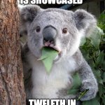 Surprised Koala | WHEN YOUR MEME IS SHOWCASED; TWELFTH IN IMGFLIPIP'S HOT MEMES | image tagged in memes,surprised koala | made w/ Imgflip meme maker