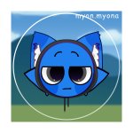 jevin template