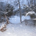 Snow. 15.2.2025.