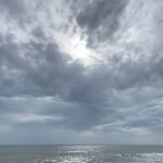 Beach Trip.