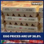 Trump's America Eggs