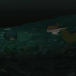 barbosa swimming home