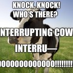 cow | WHO’S THERE? KNOCK, KNOCK! INTERRUPTING COW! INTERRU—; MOOOOOOOOOOOOO!!!!!!!!!!!!! | image tagged in cow | made w/ Imgflip meme maker