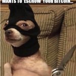 HUAHUA | WHEN YOU HEAR NUTILDAH WANTS TO 'ESCROW' YOUR BITCOIN... | image tagged in nutildah,dogermint,bitcointalk | made w/ Imgflip meme maker